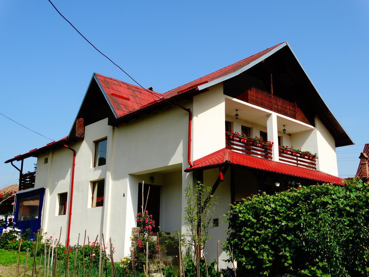 Pensiunea Casa Elena Корбени Экстерьер фото